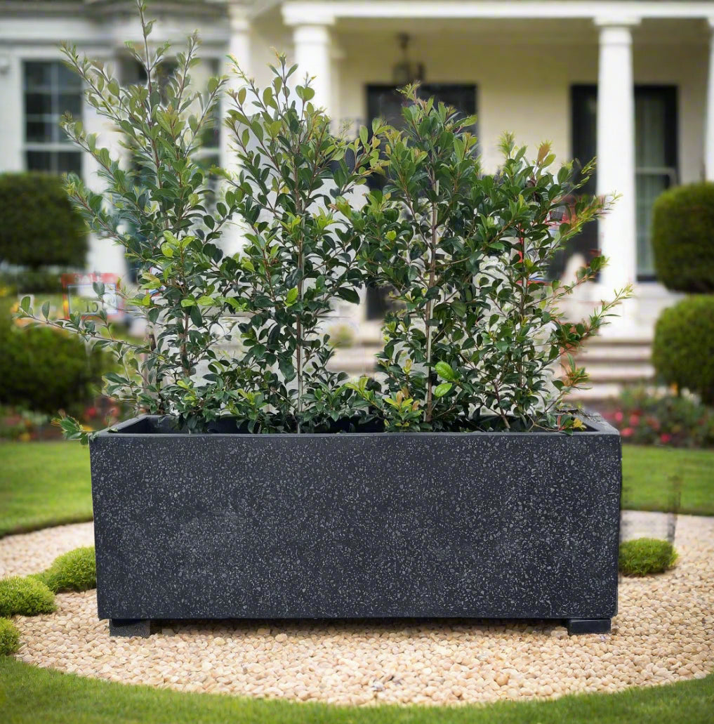 Classic Rectangle Huge Terrazzo Garden Pot