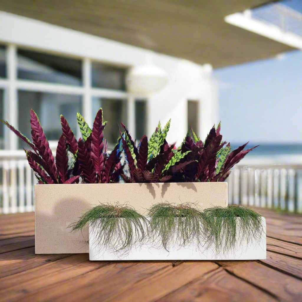 large plastic rectangular planter boxes australia Modern Rectangle Huge Fibreglass Premium Pot