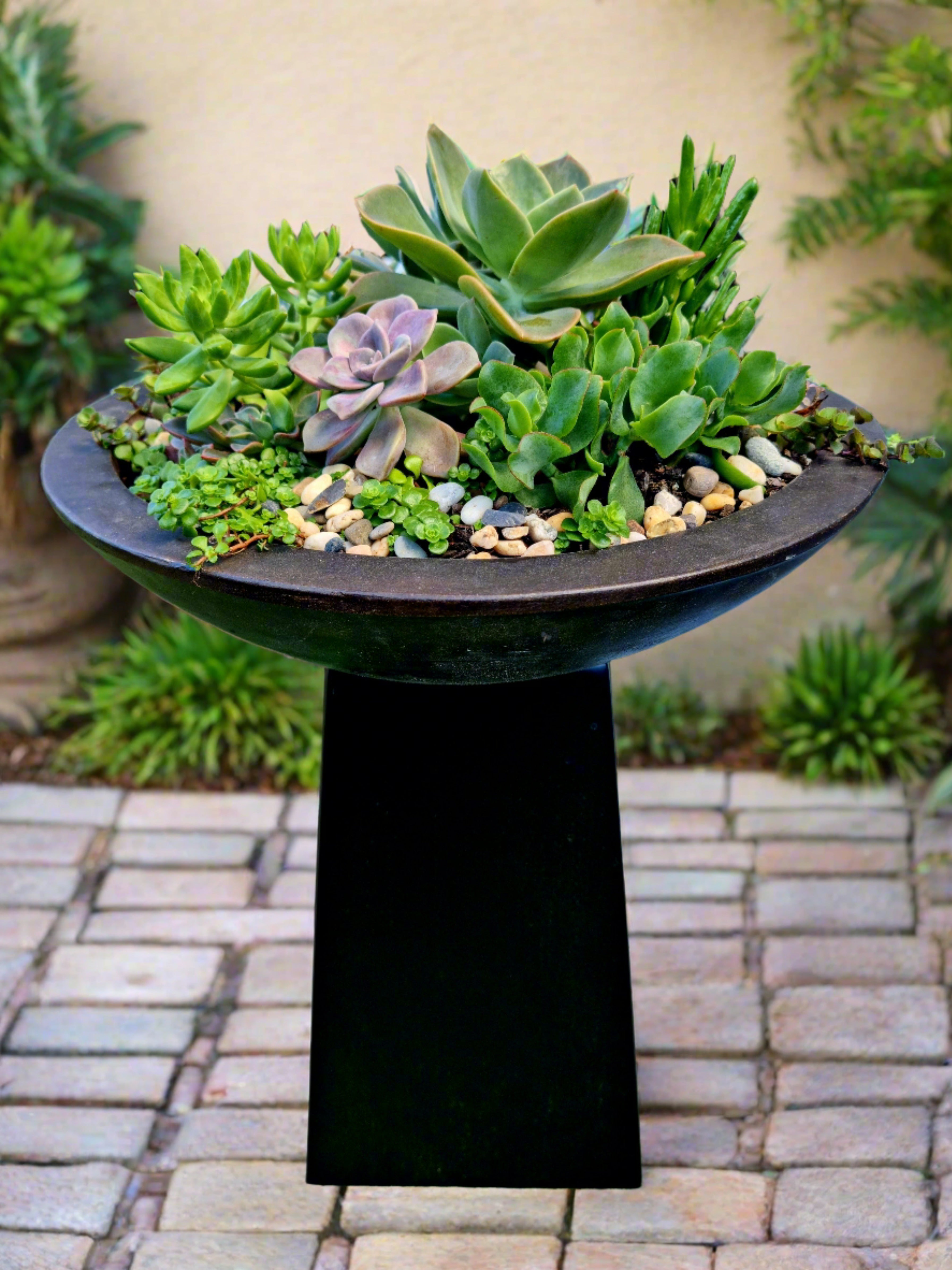 succulents sydney Succulent Garden – Linda's Place Bundall