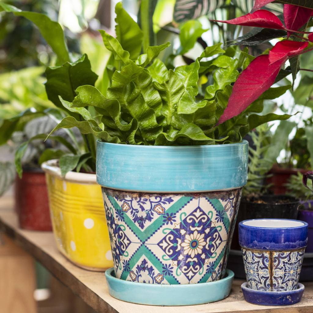 Elevate Your Garden with Stylish Ceramic Flower Pots – A Guide by Linda’s Place
