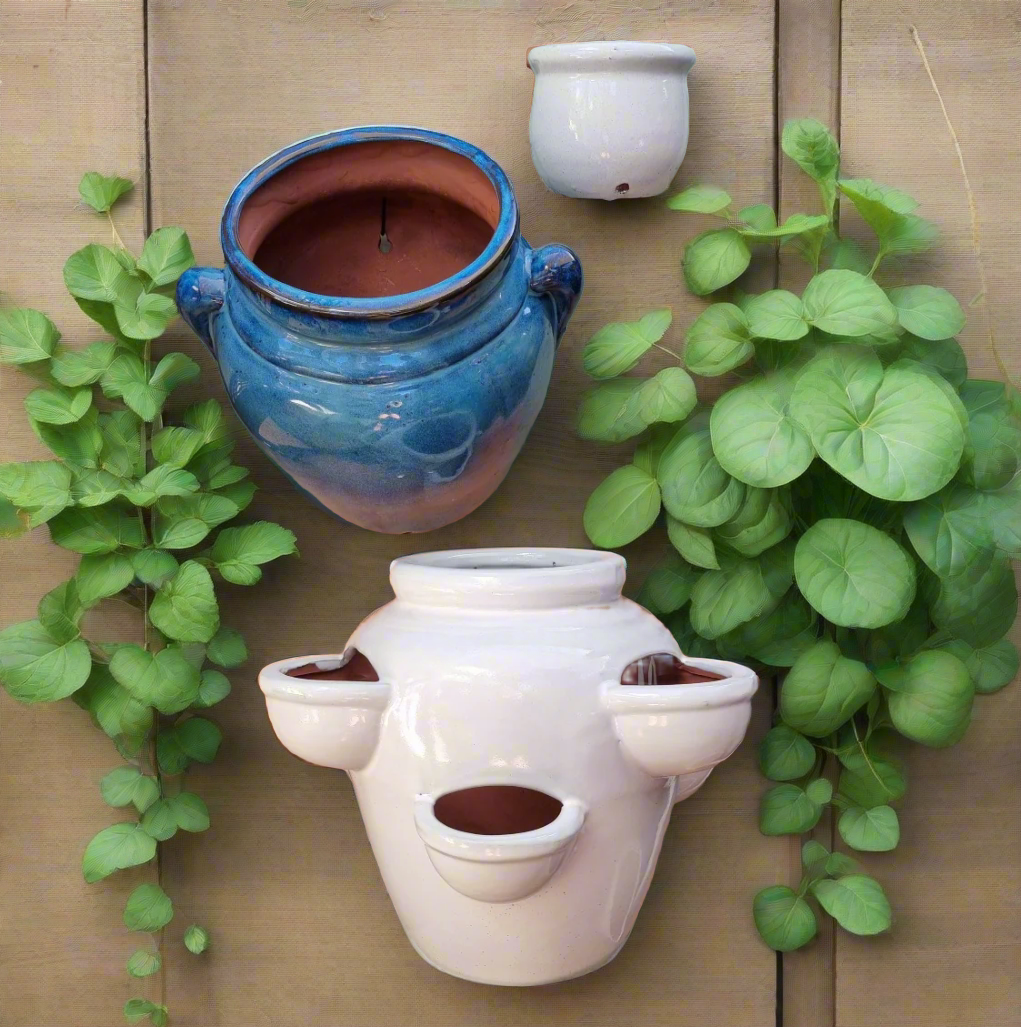 Herb Pots and Small Pots