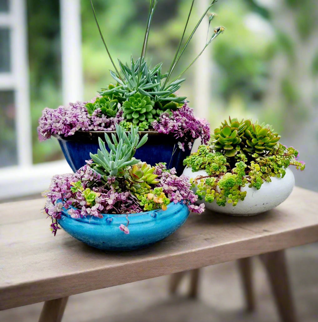 Bonsai Pots