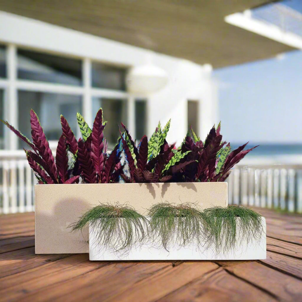 Rectangle Planters