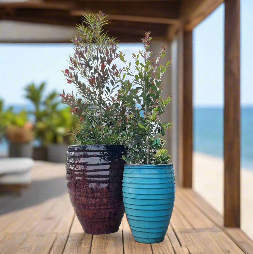 Classic Tall Round Lapped Water Jar Glazed Garden Pot