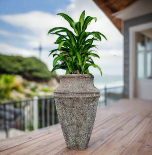 2 Ring Urn Bubble