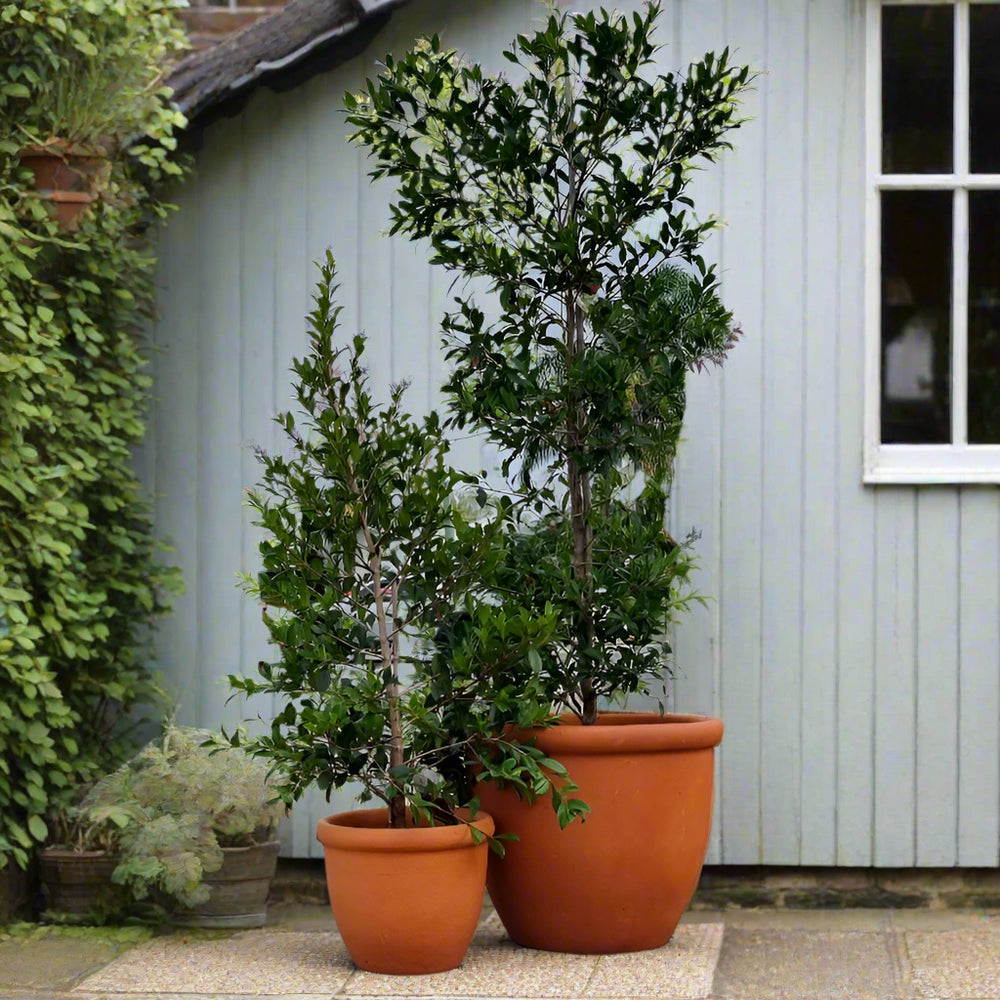 Classic Round 352 Tuscan Garden Pot