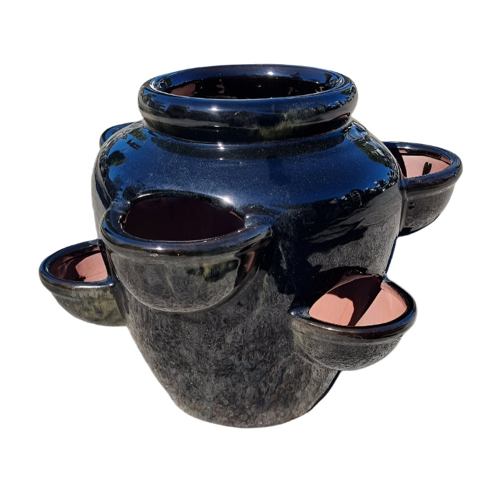 6 Hole Herb Pot