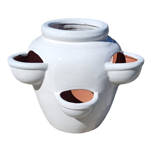 6 Hole Herb Pot