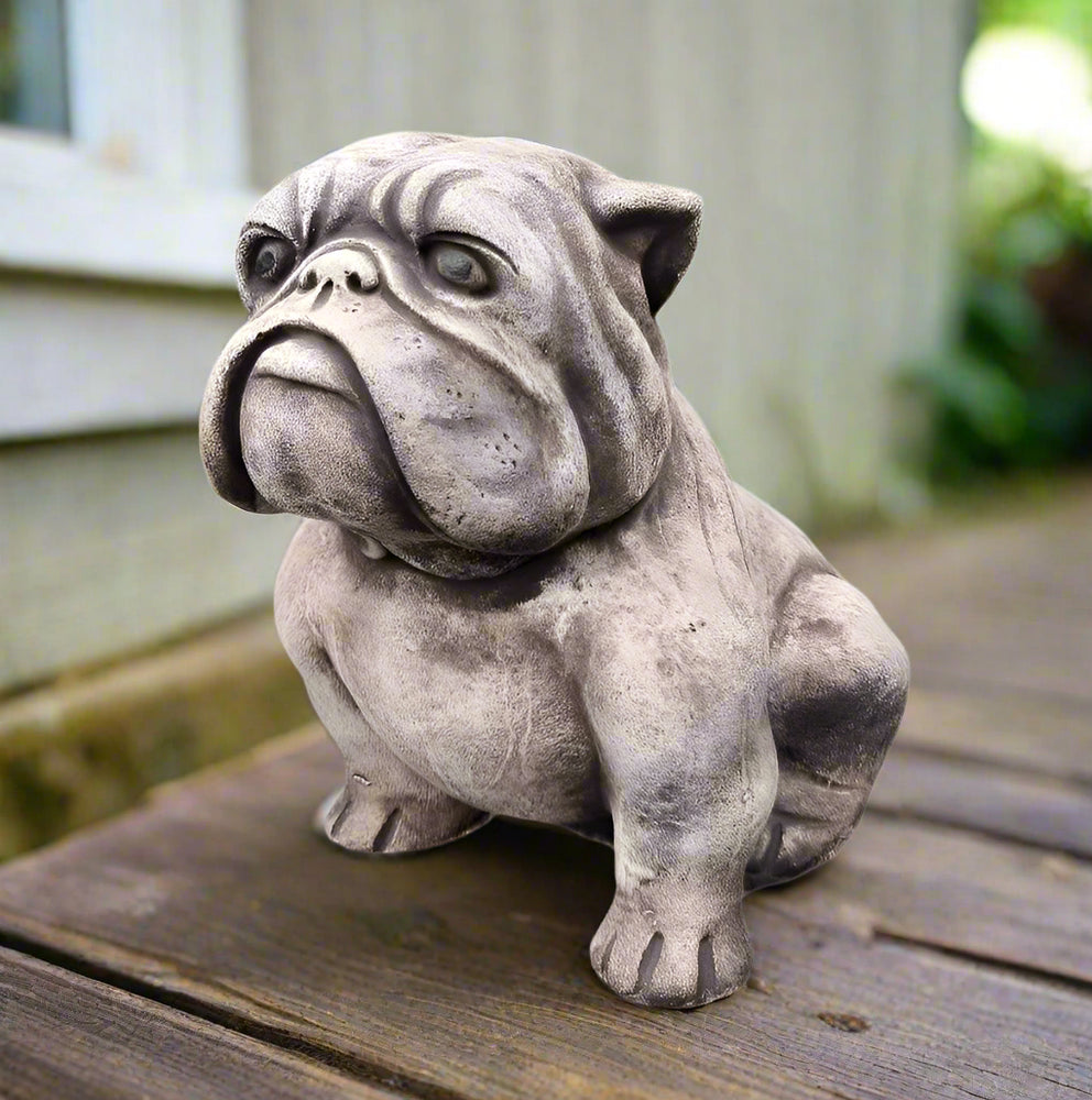 Bulldog 20 x 30cm