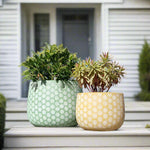 Stylish Bunge Daisy Décor Garden Pot