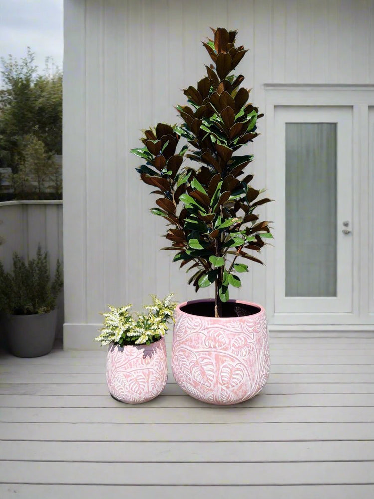 Bunge Monstera Fibreglass Pot Premium