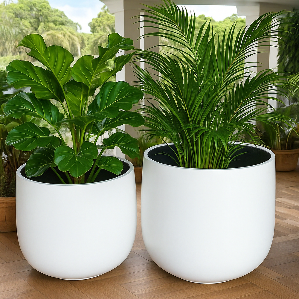Bunge Jumbo Fibreglass
