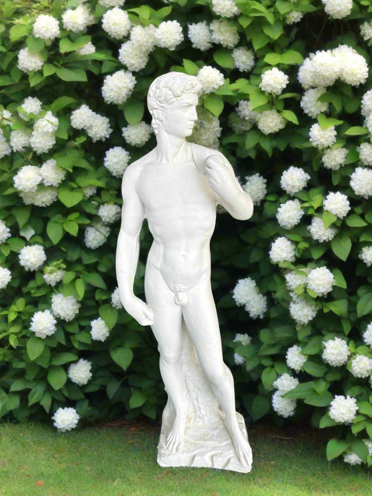 David 25cm x 83cm