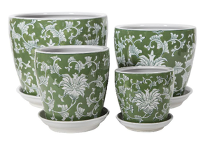 Evergreen Pot