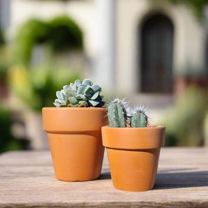 Italian Flower Pot