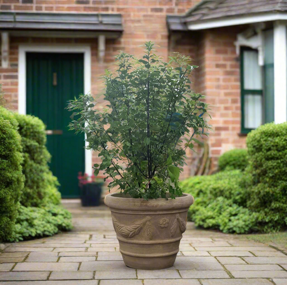 Italian Pot antique terracotta