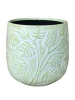 Bunge Monstera Fibreglass Pot Premium