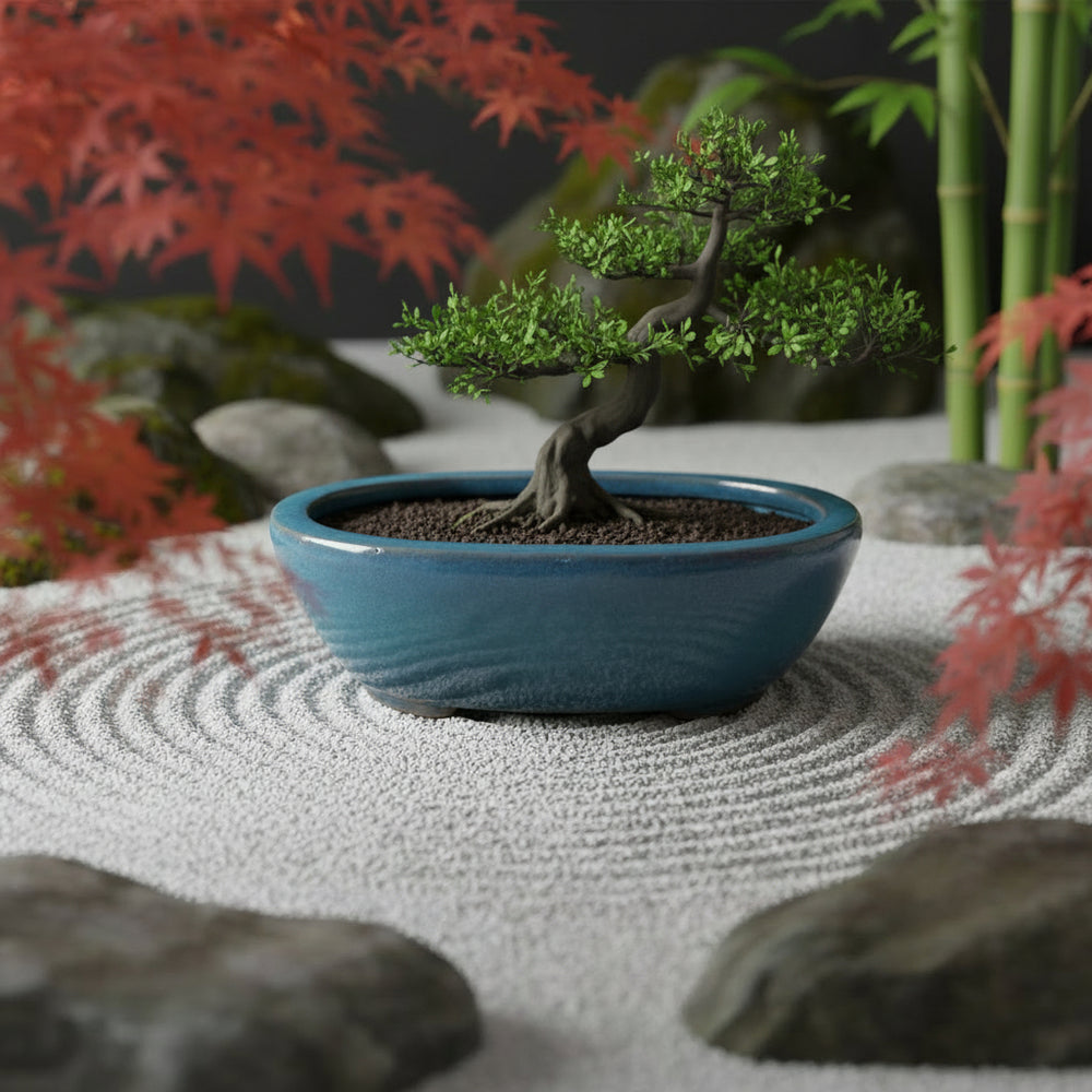 Oval Bonsai With Legs Glazed – Linda's Place Bundall