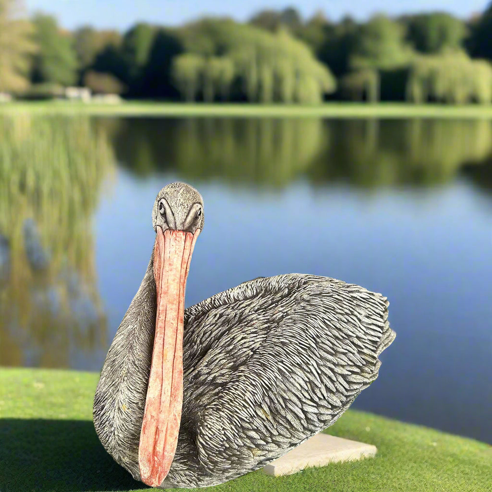 Sitting Pelican 28cm x 40cm