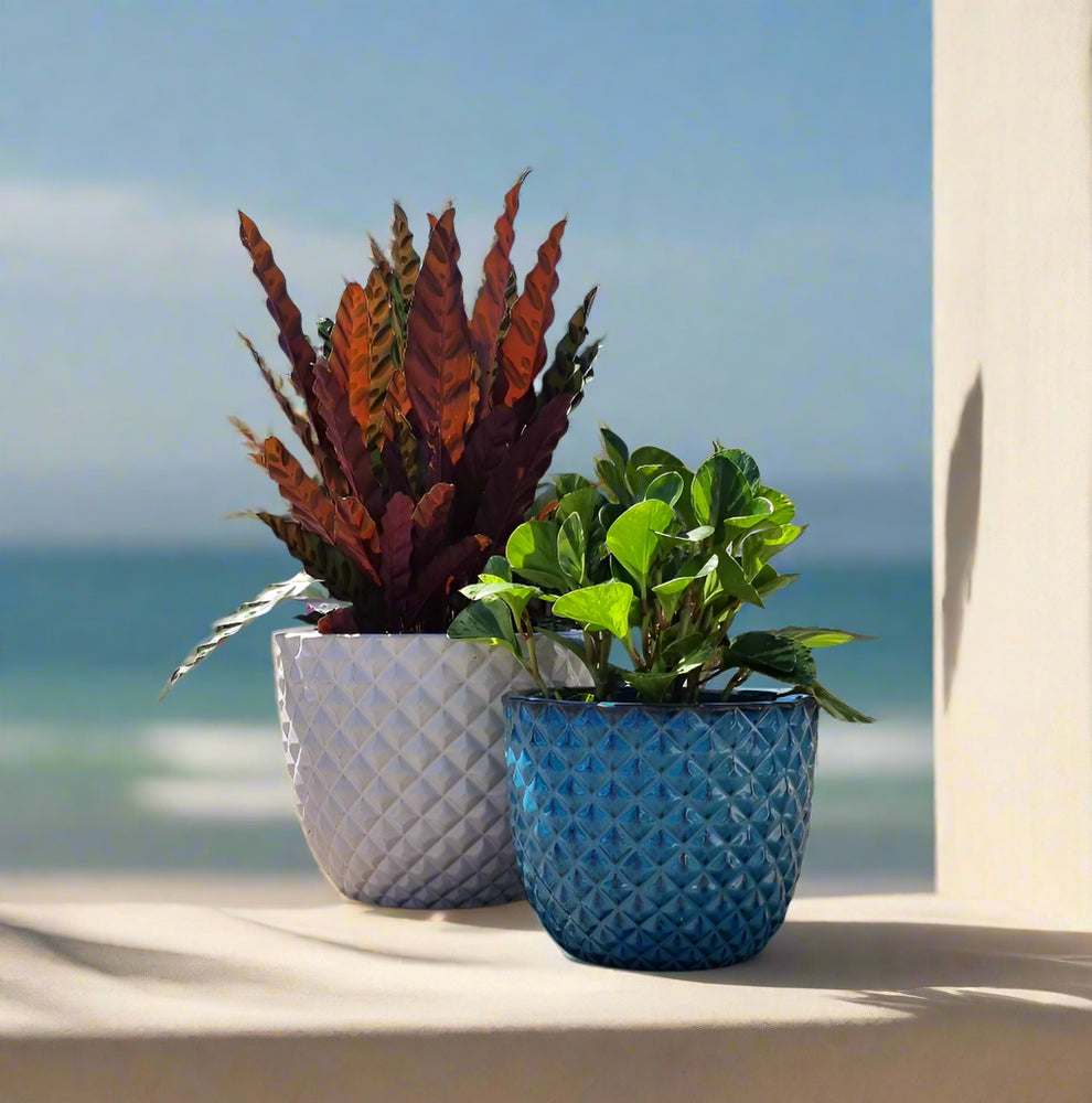 Round Pineapple Pot Glazed Garden Pot