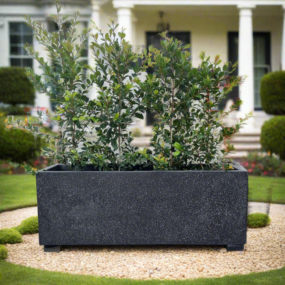 big rectangle pots for plants Classic Rectangle Huge Terrazzo Garden Pot