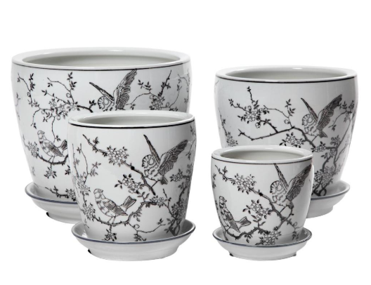 Black Bird Pot with saucer