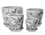 Black Bird Pot with saucer