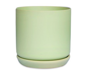 Cylinder Pot with Saucer