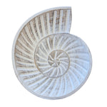 23cm Fossil Shell Beach Decor Plate in White Wash Finish