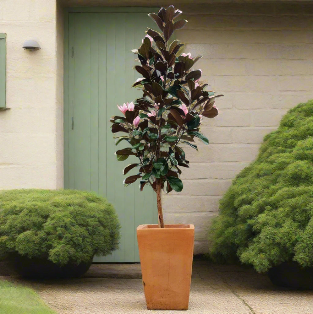 Classic Camilla Straight Tuscan Garden Pot