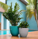 Classic Round Tall Egg Décor Garden Pot