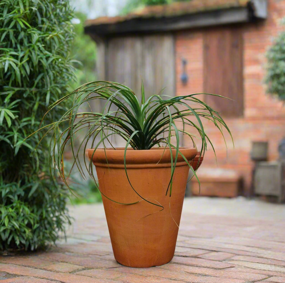 Round Tall Palmero Tuscan Garden Pot