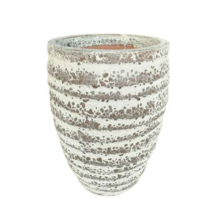 Water Jar Lapped Bubble