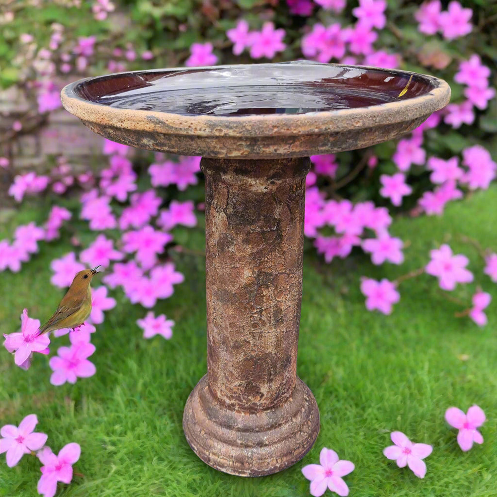 Birdbath Bubble
