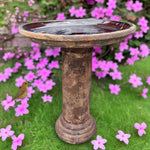 Birdbath Bubble