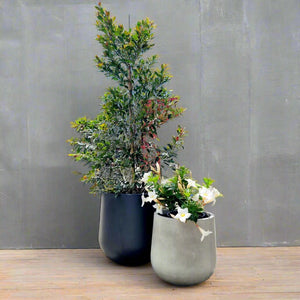 Modern Round Bundy GRC Garden Pot