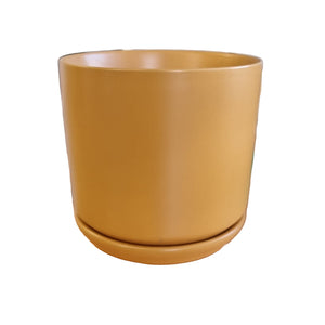 Cylinder Pot with Saucer