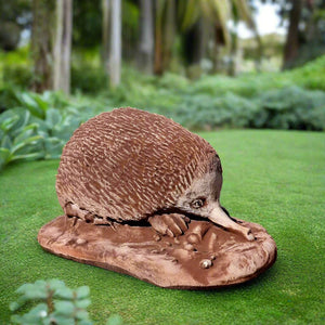 Echidna 27cm x 17cm