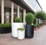 Long John Terrazzo