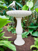 Shell Top Swirl Base Birdbath