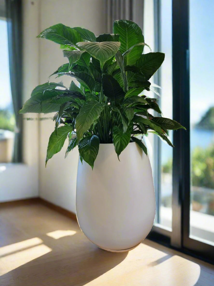 Tall Vase Fibreglass Premium