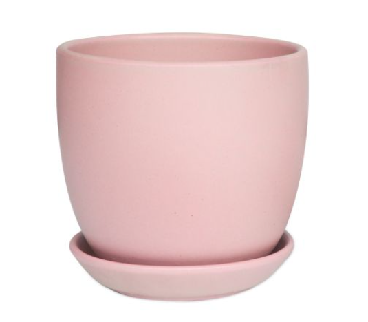 Tulip pot w/scrs