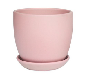 Tulip pot w/scrs