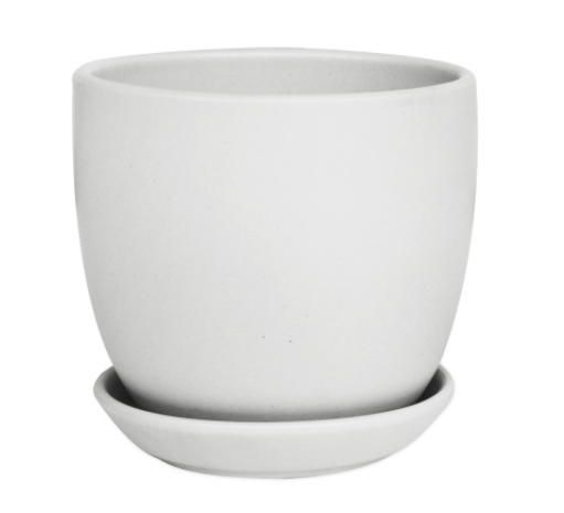 Tulip pot w/scrs