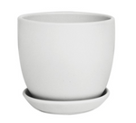 Tulip pot w/scrs