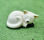 Cat laying glazed