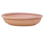 Oval Bonsai Terracotta