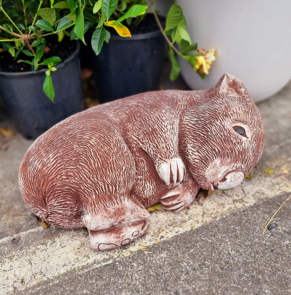 Laying Wombat