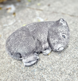 Laying Wombat